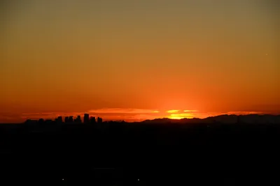 DSC_1488 (Large).JPG